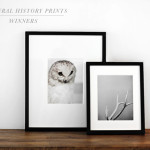 NATURAL HISTORY PRINTS GIVEAWAY::WINNERS!