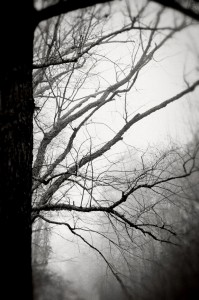 MMXIII_WK2_BESOTTEDBLOG