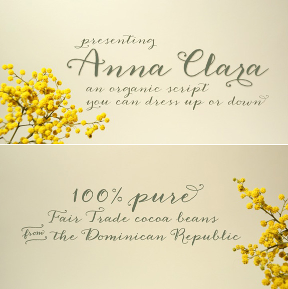 Calligraphy Font Anna Clara via Besotted Blog