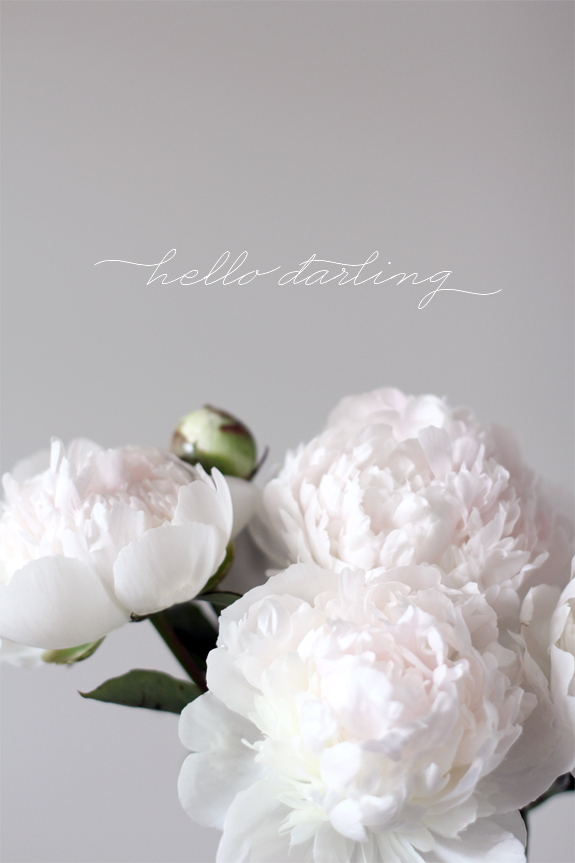 hello darling besotted blog