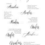Contemporary Calligraphy by Erica McPhee