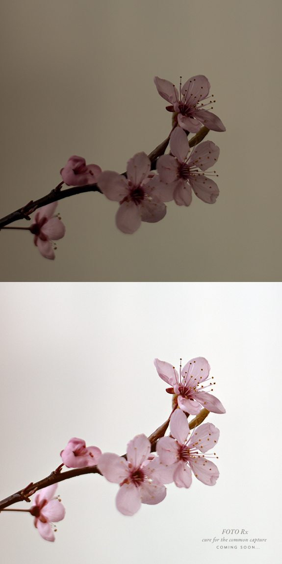 Foto Rx Cherry Blossom before and after i