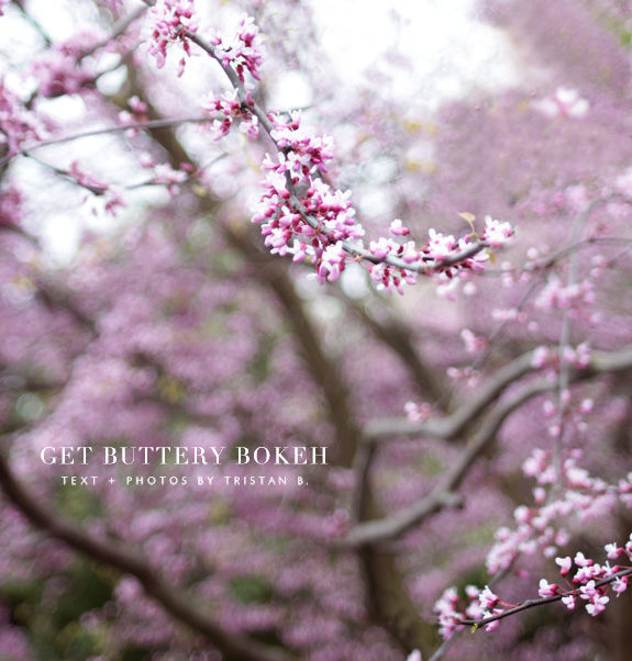 get buttery bokeh via besotted blog