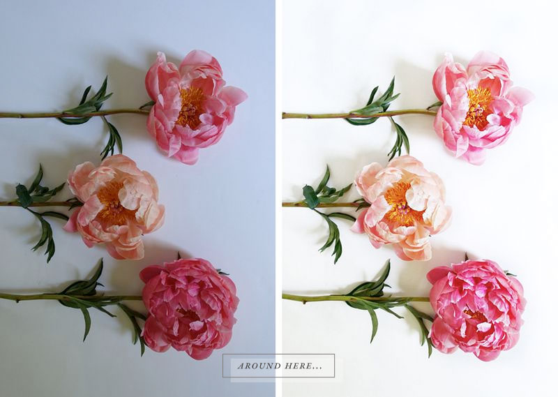 happinessis peonies by shannon eileen via besotted blog