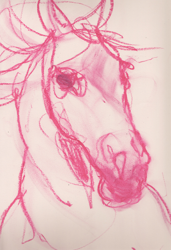 Gesture drawing of horse by Amelie Hegardt via Besottedblog.com