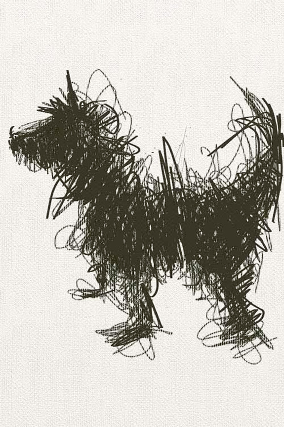 sally muir dog sketch via besotted blog