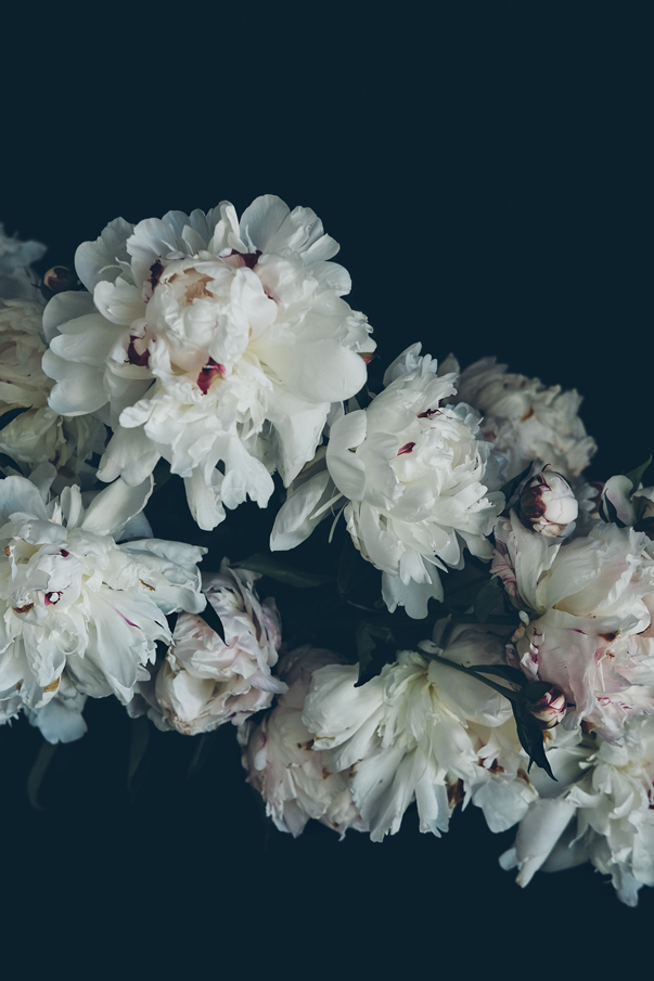 Follow your muse peony by michelle p. via besotted blog