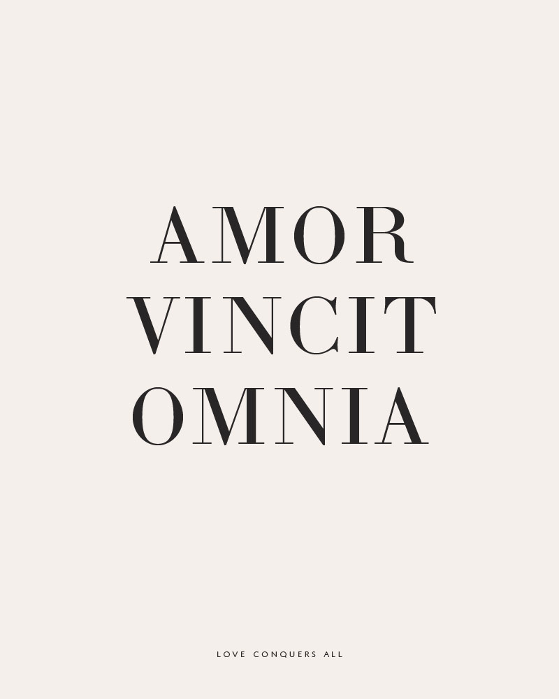 amor vincit omnia via besotted blog