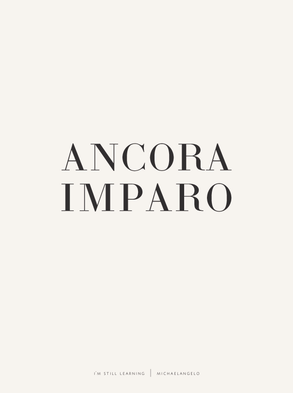 ancora imparo i'm still learning in latin via besotted blog iii