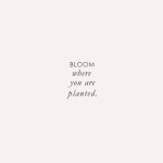 Bloom where you are planted…