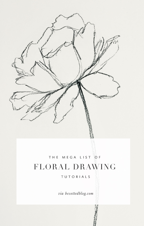 the mega lost of floral drawing tutorials