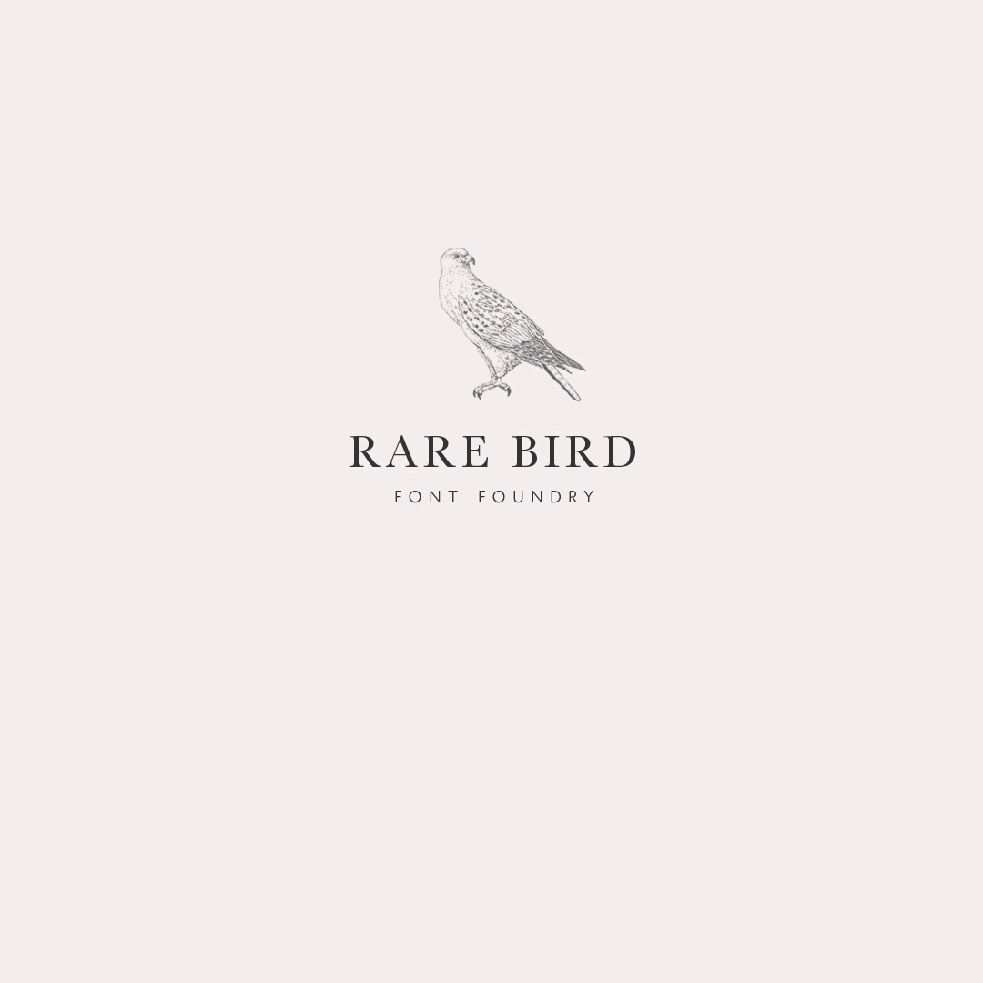 Maybelle-Rare-Bird-Announcement-