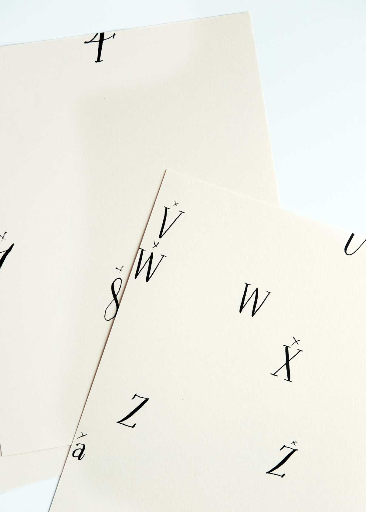 Rare Bird fonts in progress via besotted