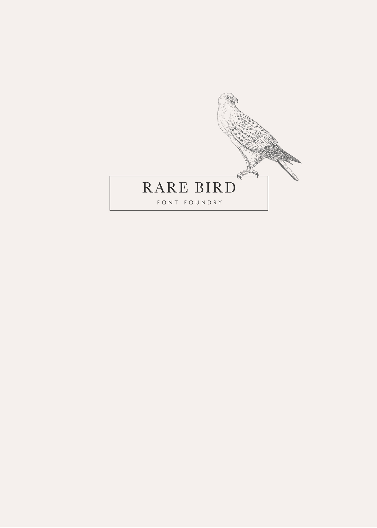 rare bird font foundry announcement via besotted