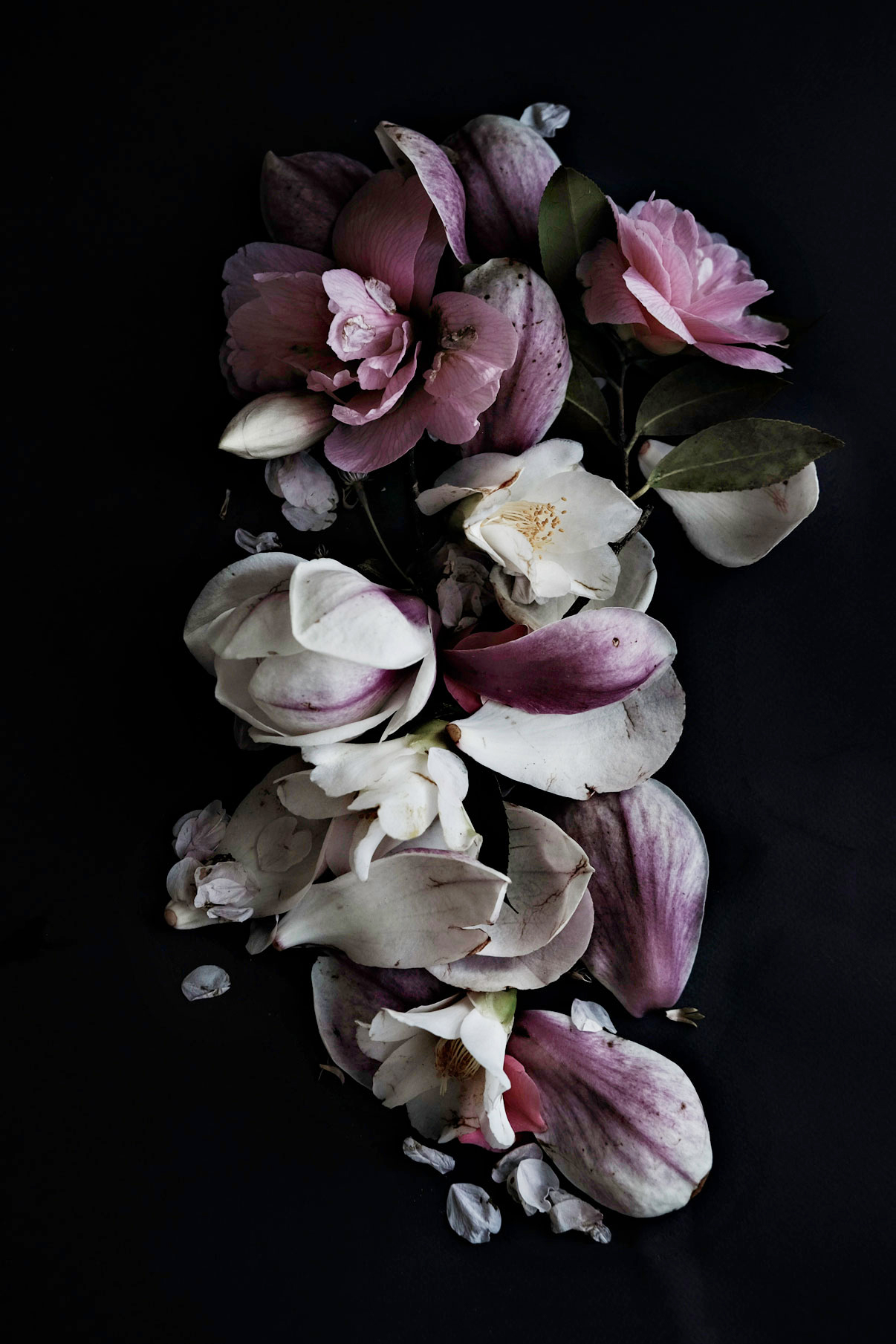 Foraged-flowers-by-Michelle-P.-edited-with-Foto-Rx-Modern-Moody-LR-presets-via-besottedblog